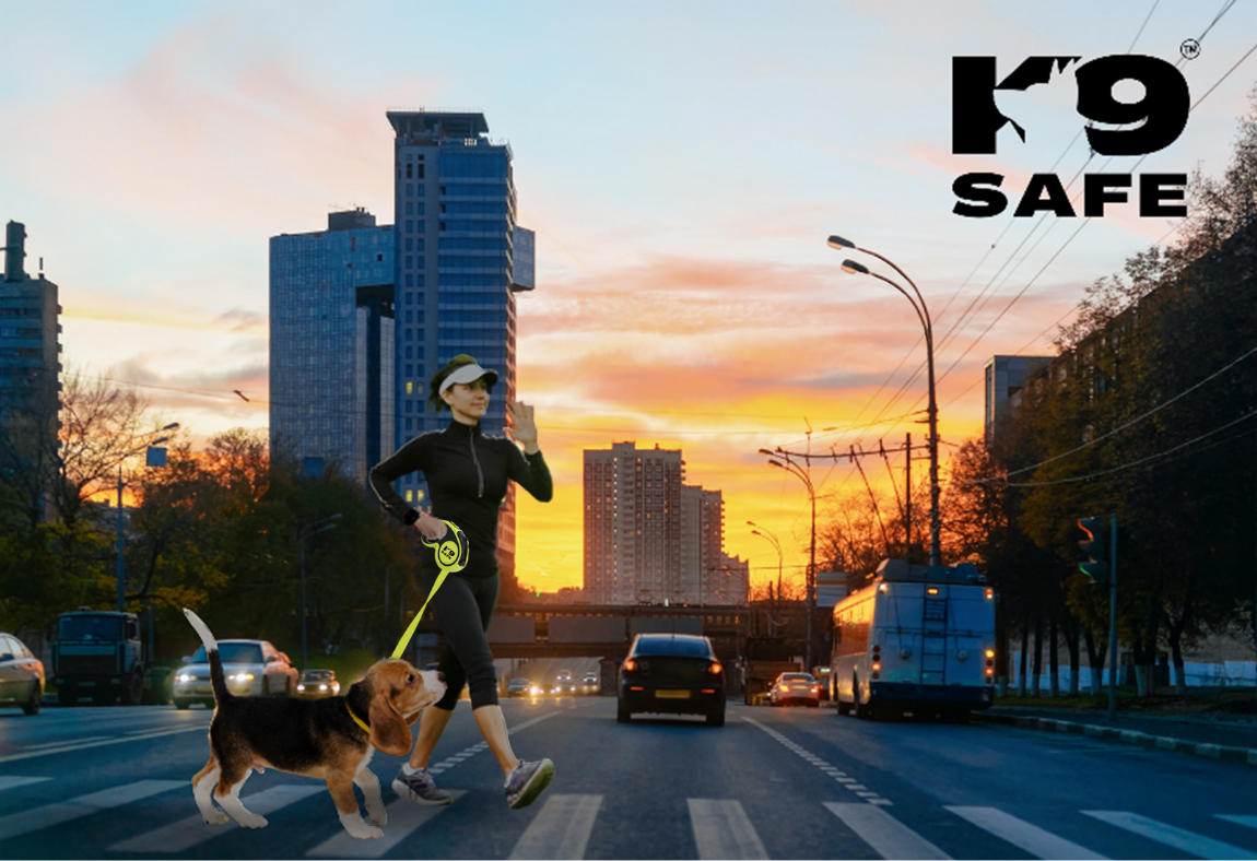 K9Safe™ - Reflective Dog Leash